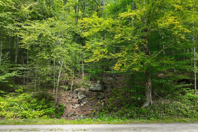 $53,000 | 2-66 Goshawk Drive, Plymouth, VT 05056