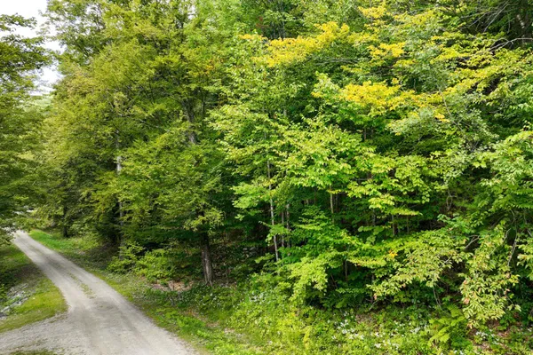 $53,000 | 2-66 Goshawk Drive, Plymouth, VT 05056