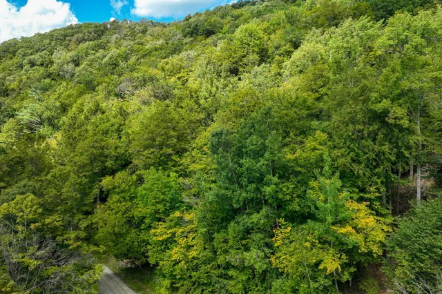 $53,000 | 2-66 Goshawk Drive, Plymouth, VT 05056