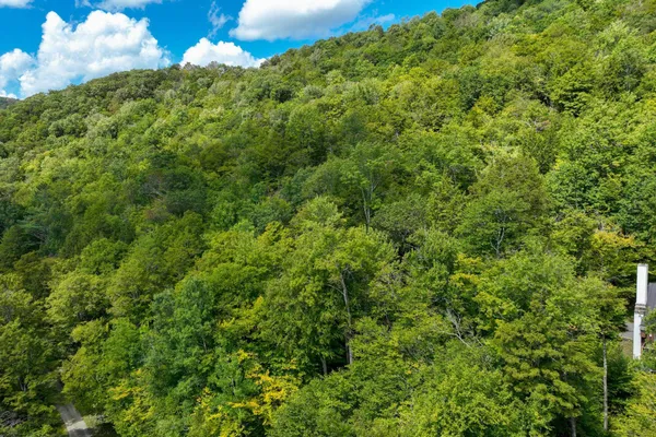 $53,000 | 2-66 Goshawk Drive, Plymouth, VT 05056