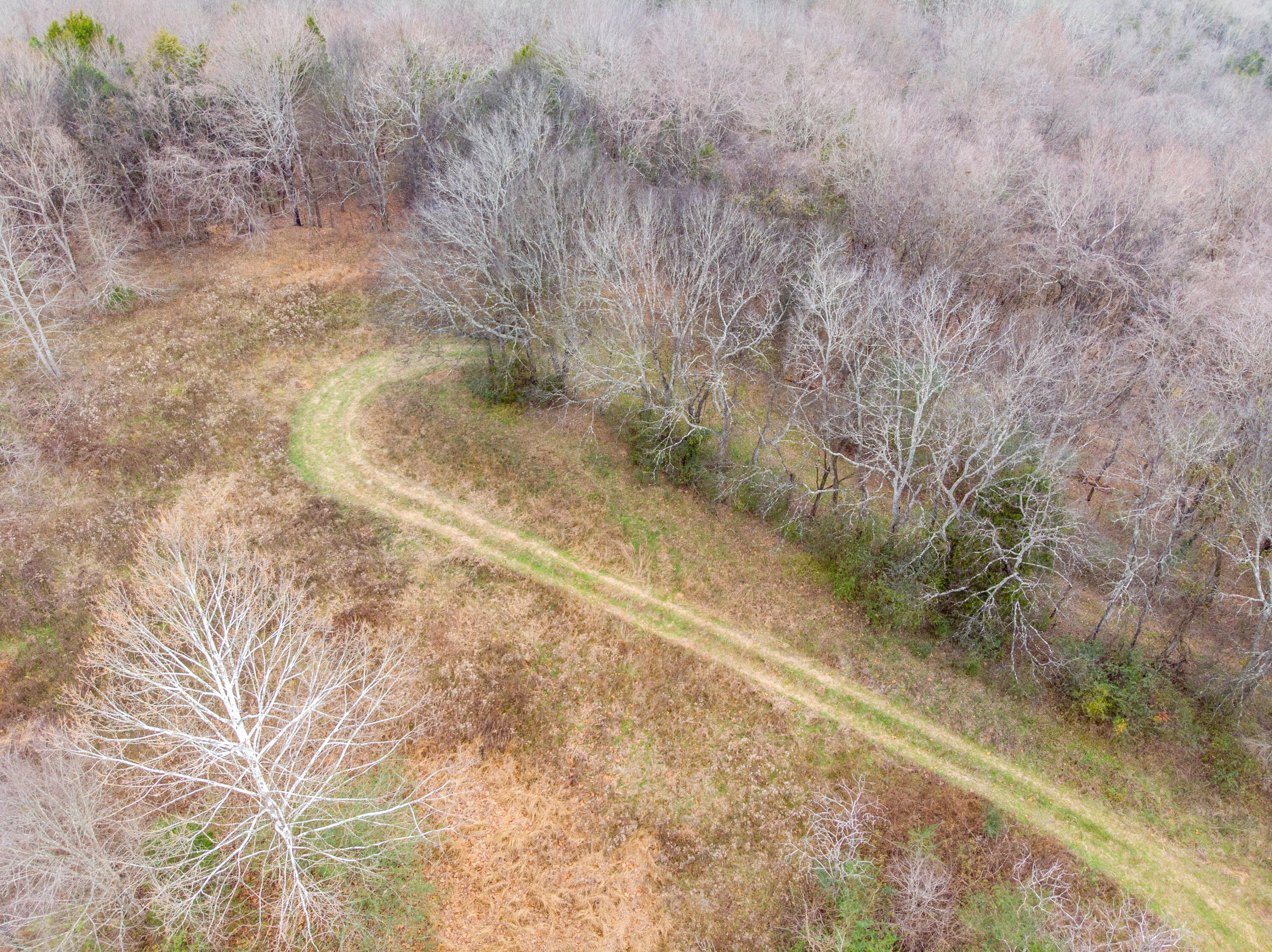 0 Tate Road Fayetteville, TN 37334 - Photo 12 of 46 Tate Drone-4