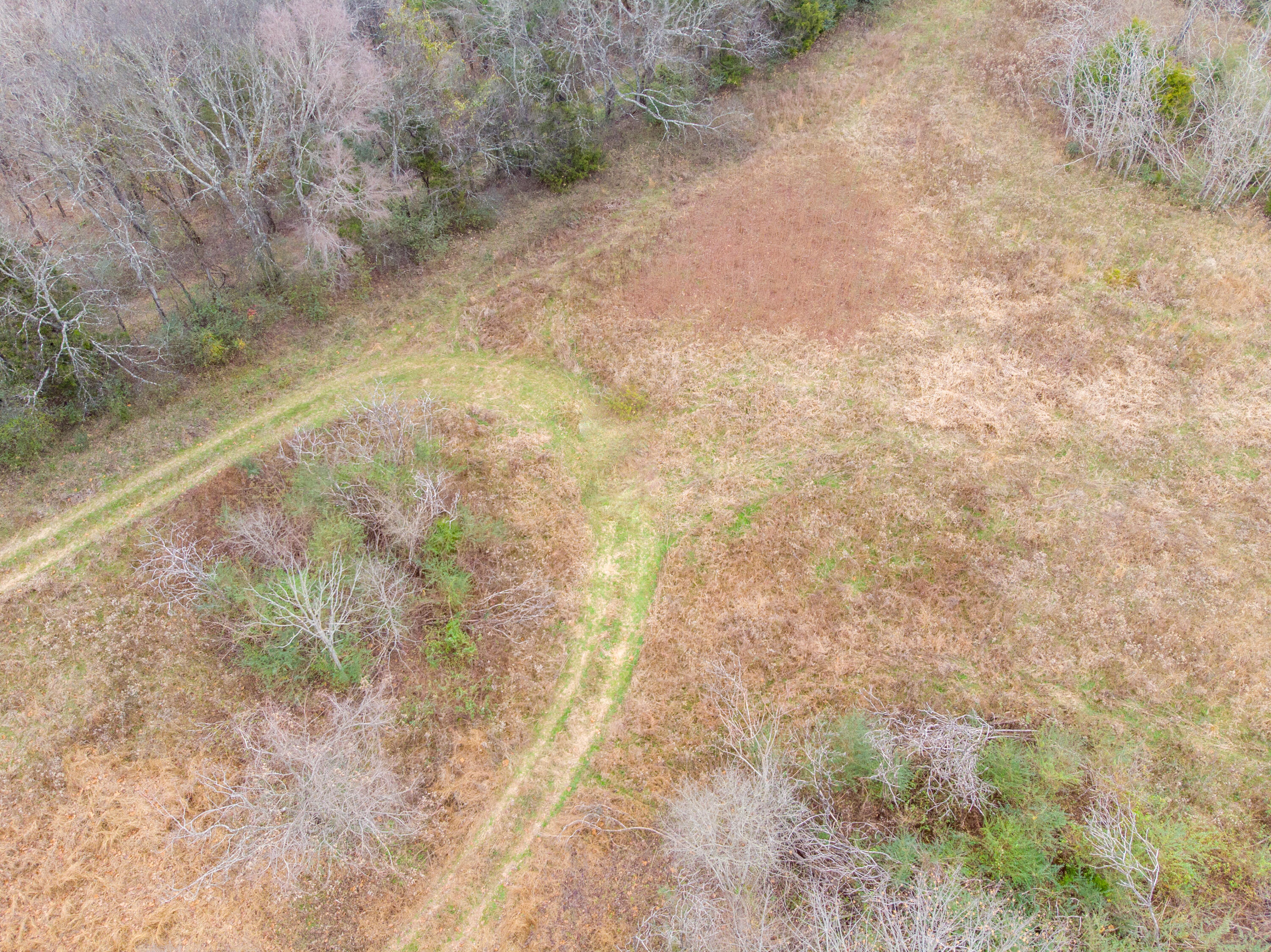 0 Tate Road Fayetteville, TN 37334 - Photo 16 of 46 Tate Drone-8