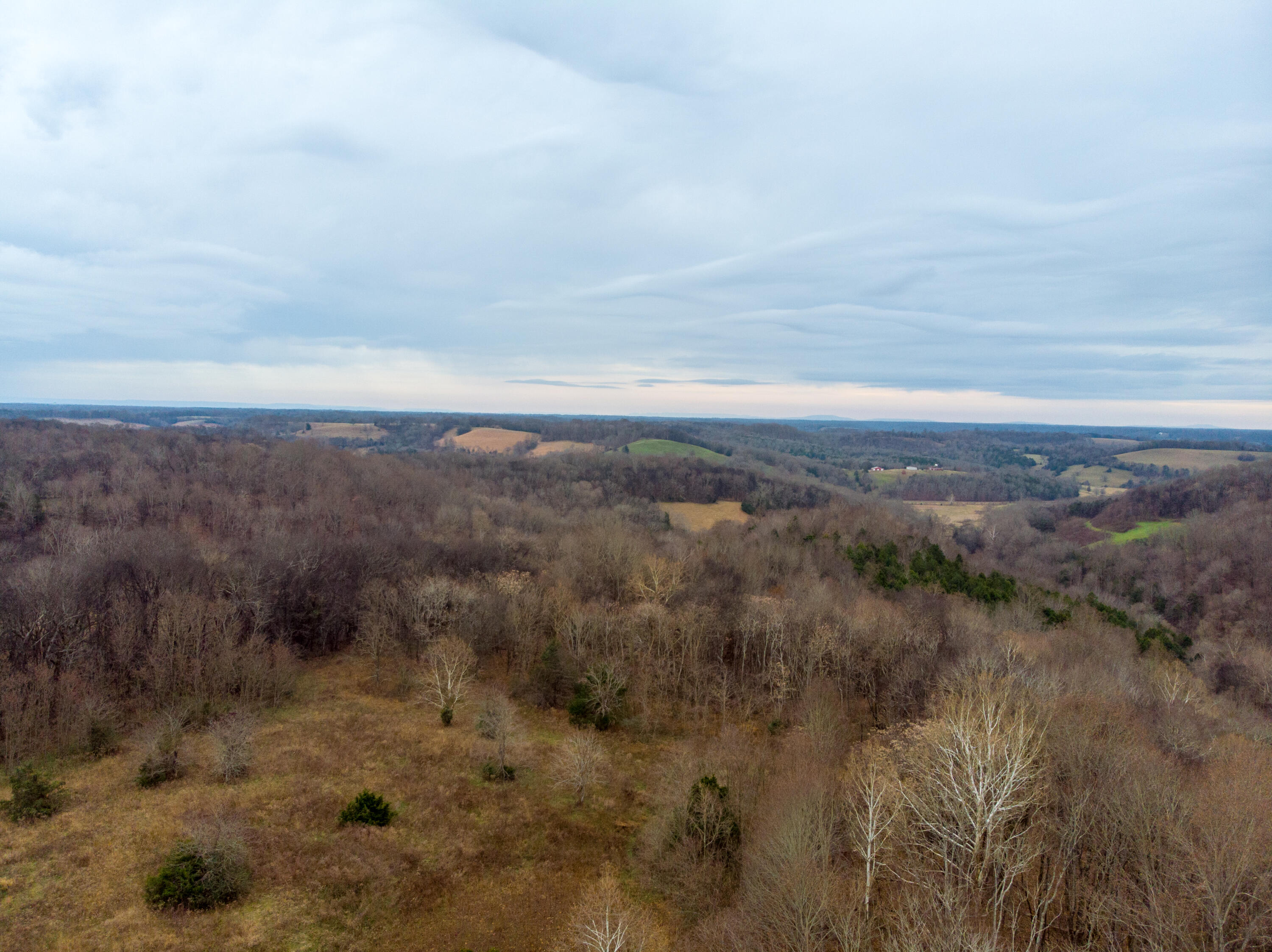 0 Tate Road Fayetteville, TN 37334 - Photo 18 of 46 Tate Drone-10