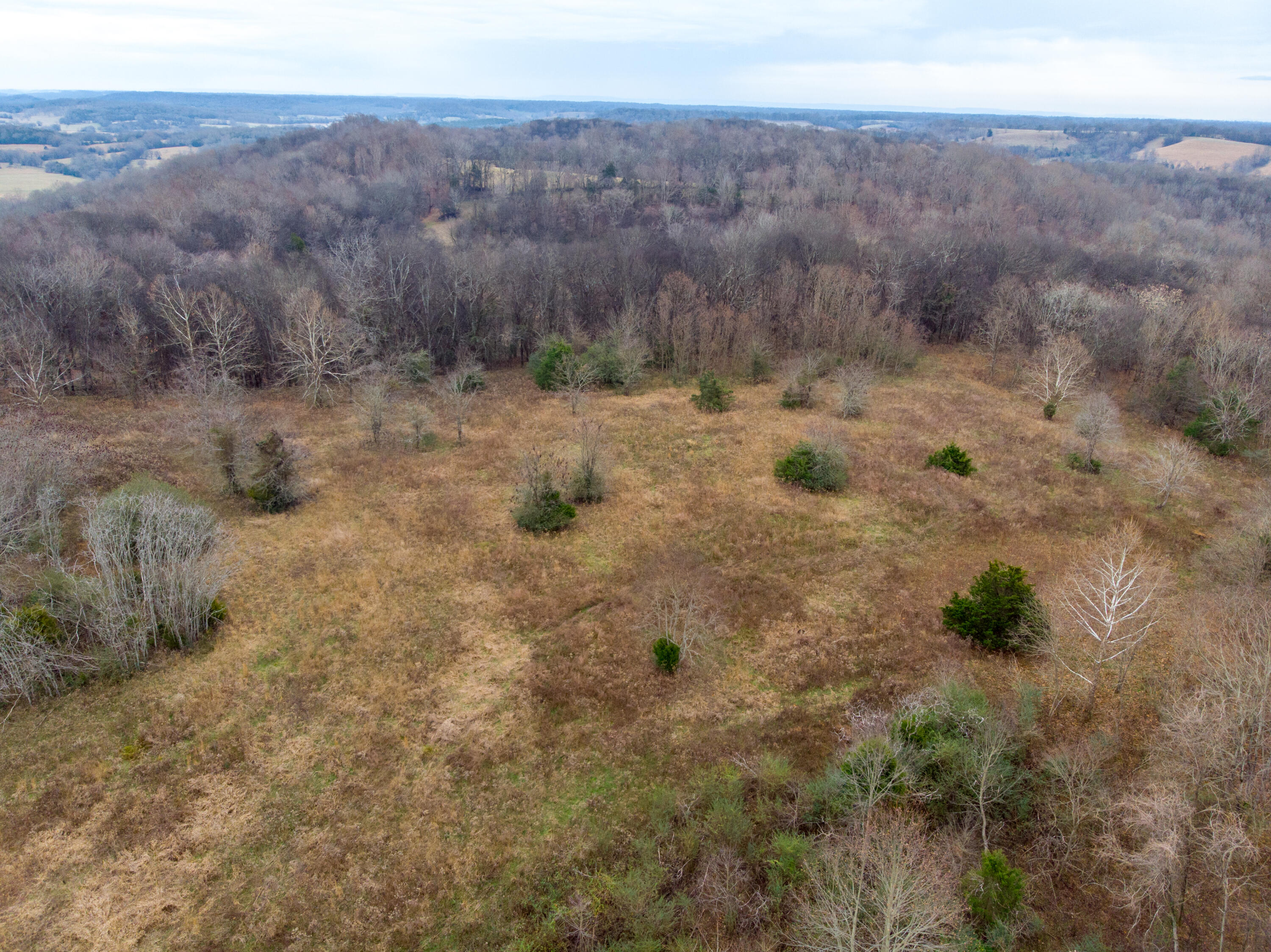 0 Tate Road Fayetteville, TN 37334 - Photo 19 of 46 Tate Drone-11