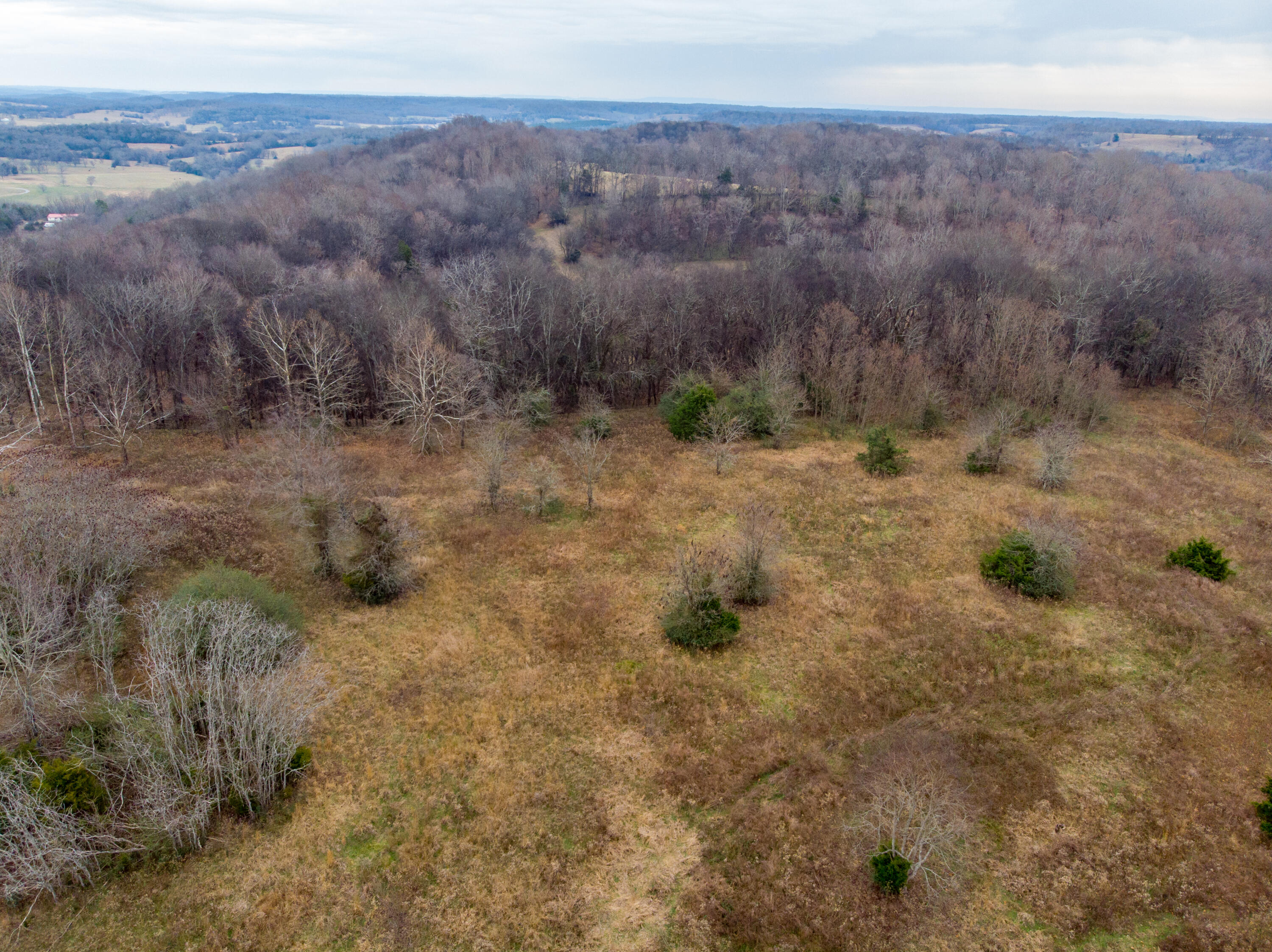 0 Tate Road Fayetteville, TN 37334 - Photo 20 of 46 Tate Drone-12