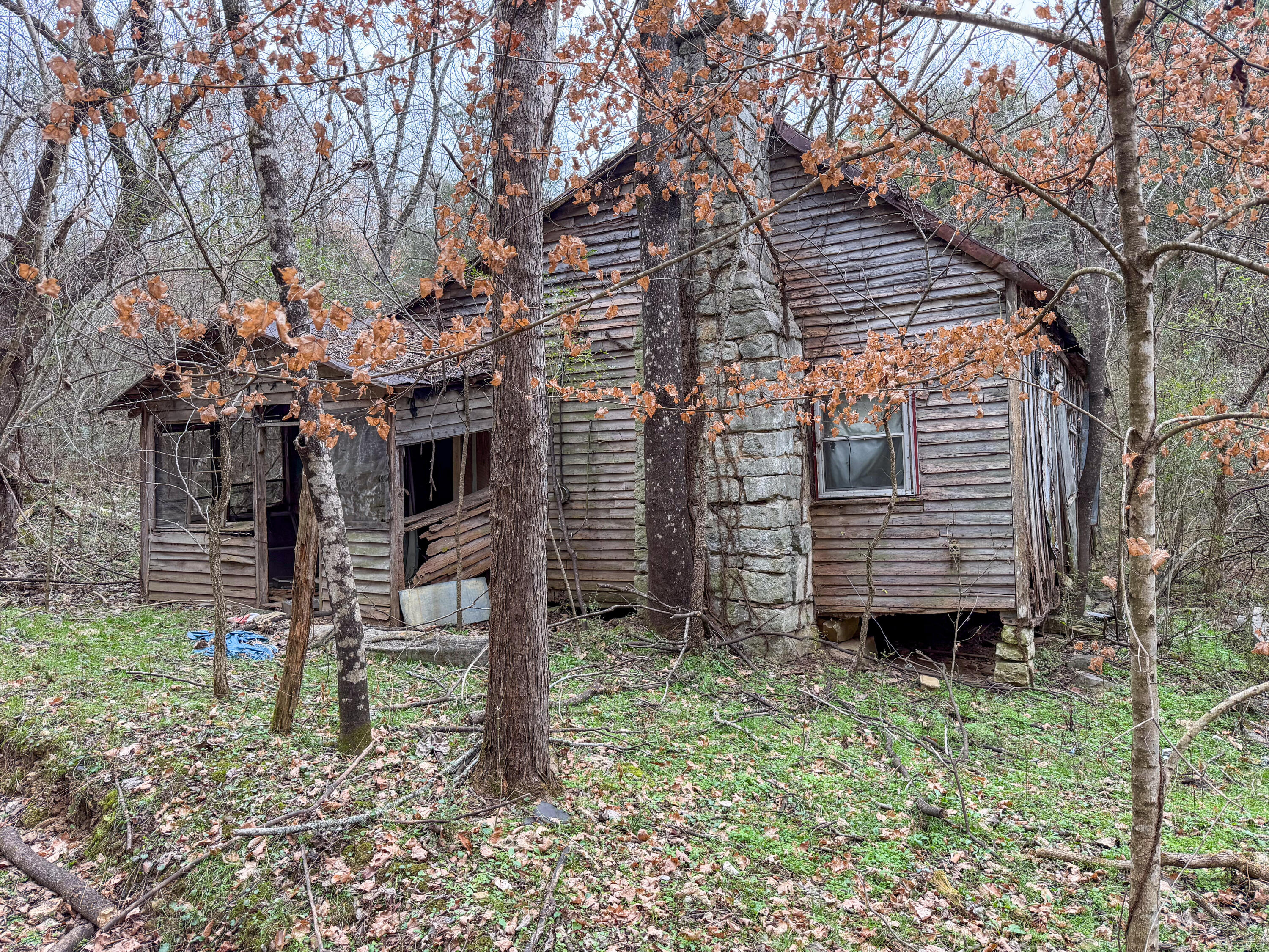 0 Tate Road Fayetteville, TN 37334 - Photo 2 of 46 Tate-11