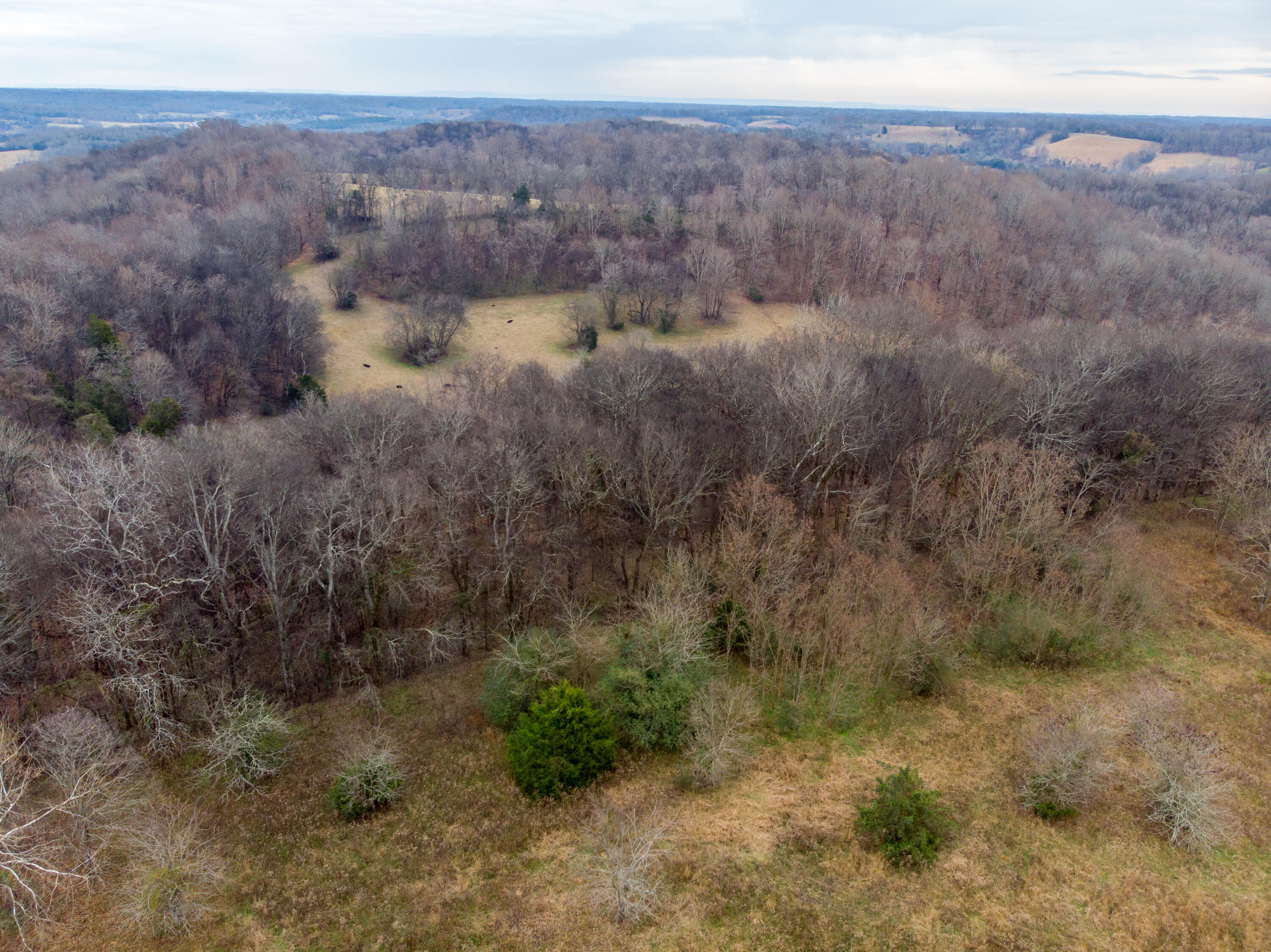 0 Tate Road Fayetteville, TN 37334 - Photo 21 of 46 Tate Drone-13