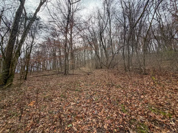 $599,800 | 0 Tate Road, Fayetteville, TN 37334