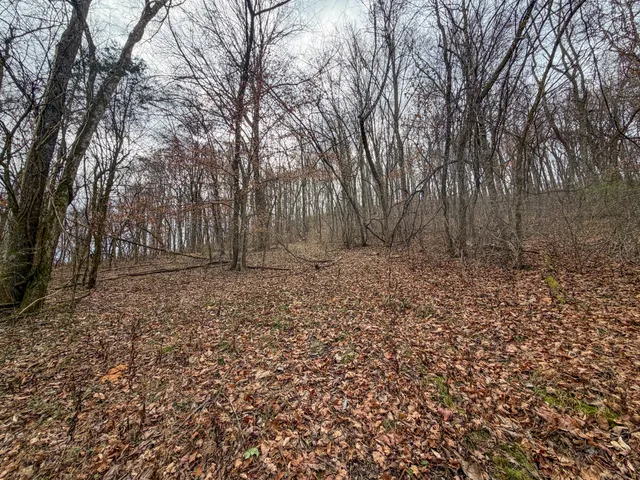 $599,800 | 0 Tate Road, Fayetteville, TN 37334