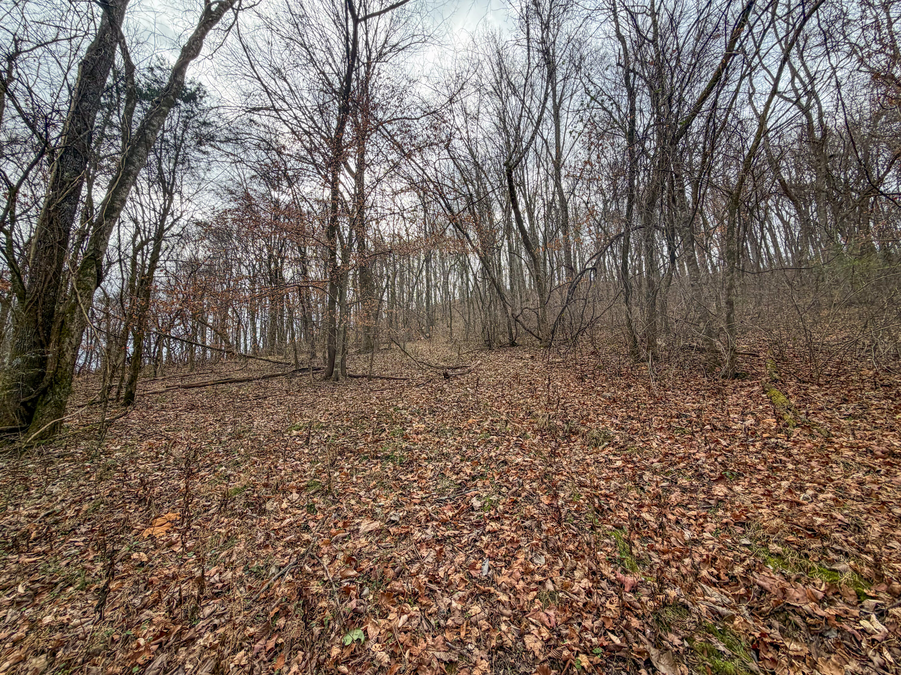 0 Tate Road Fayetteville, TN 37334 - Photo 29 of 46 Tate-9