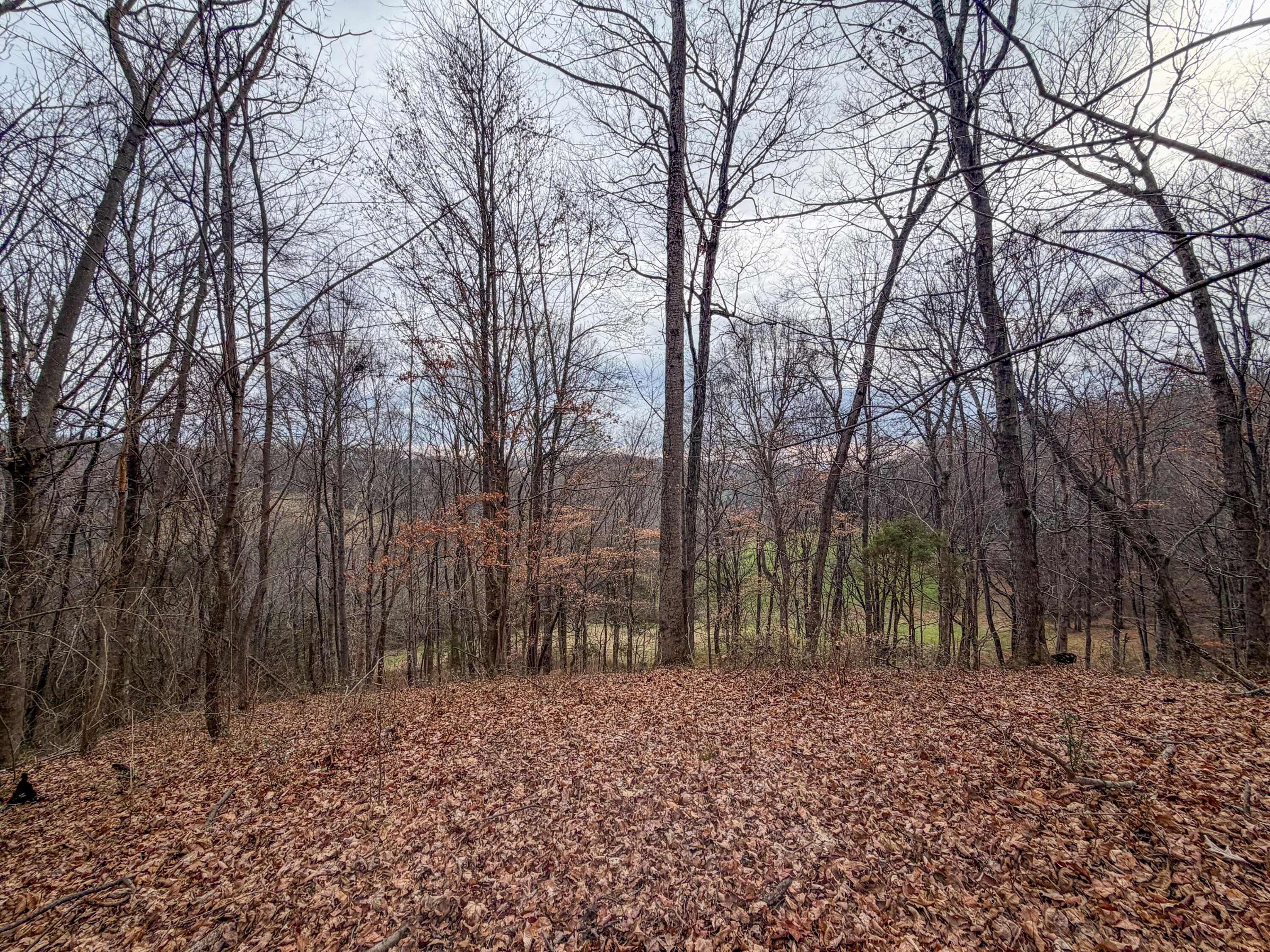 0 Tate Road Fayetteville, TN 37334 - Photo 30 of 46 Tate-10