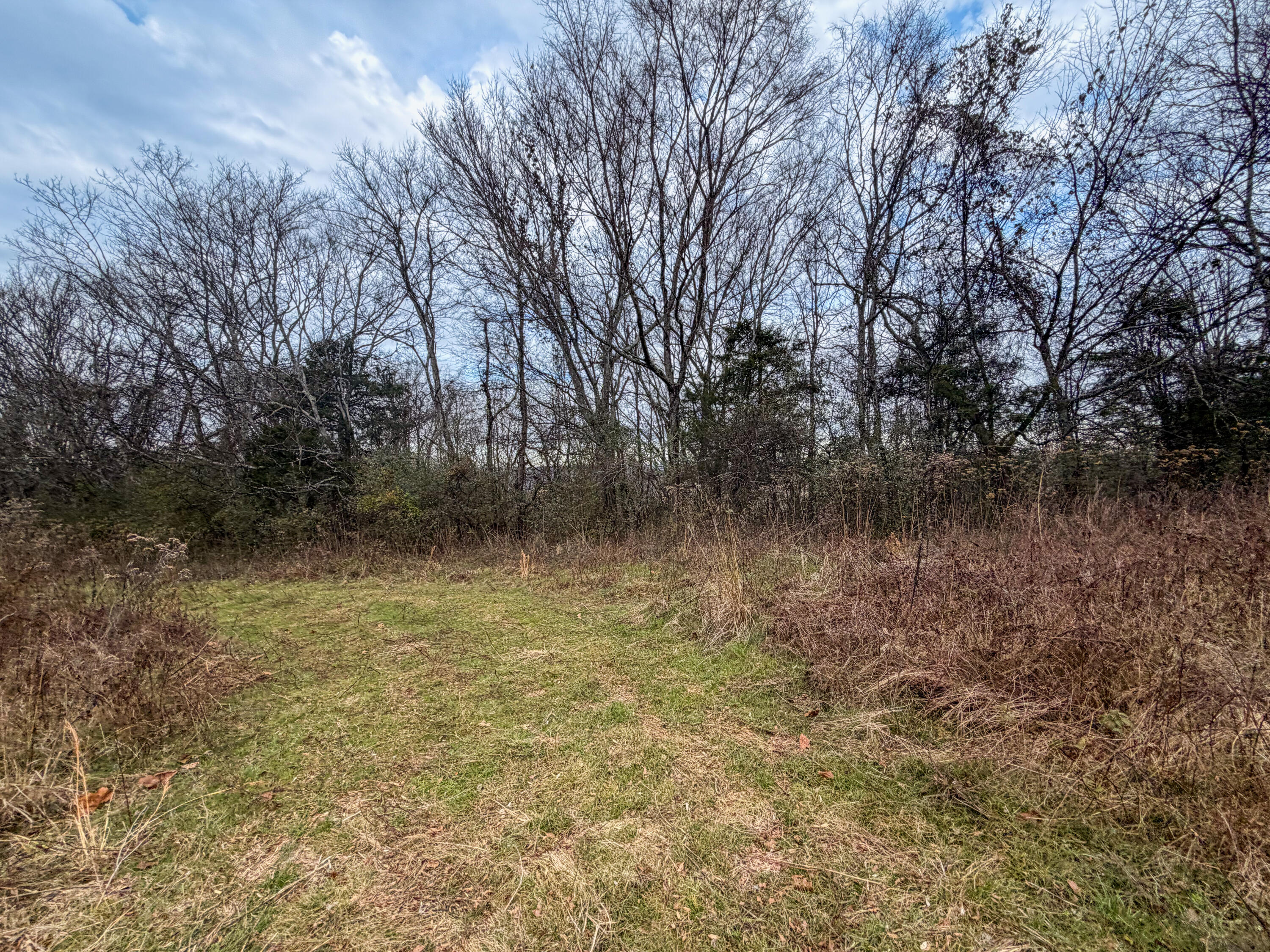 0 Tate Road Fayetteville, TN 37334 - Photo 32 of 46 Tate-17