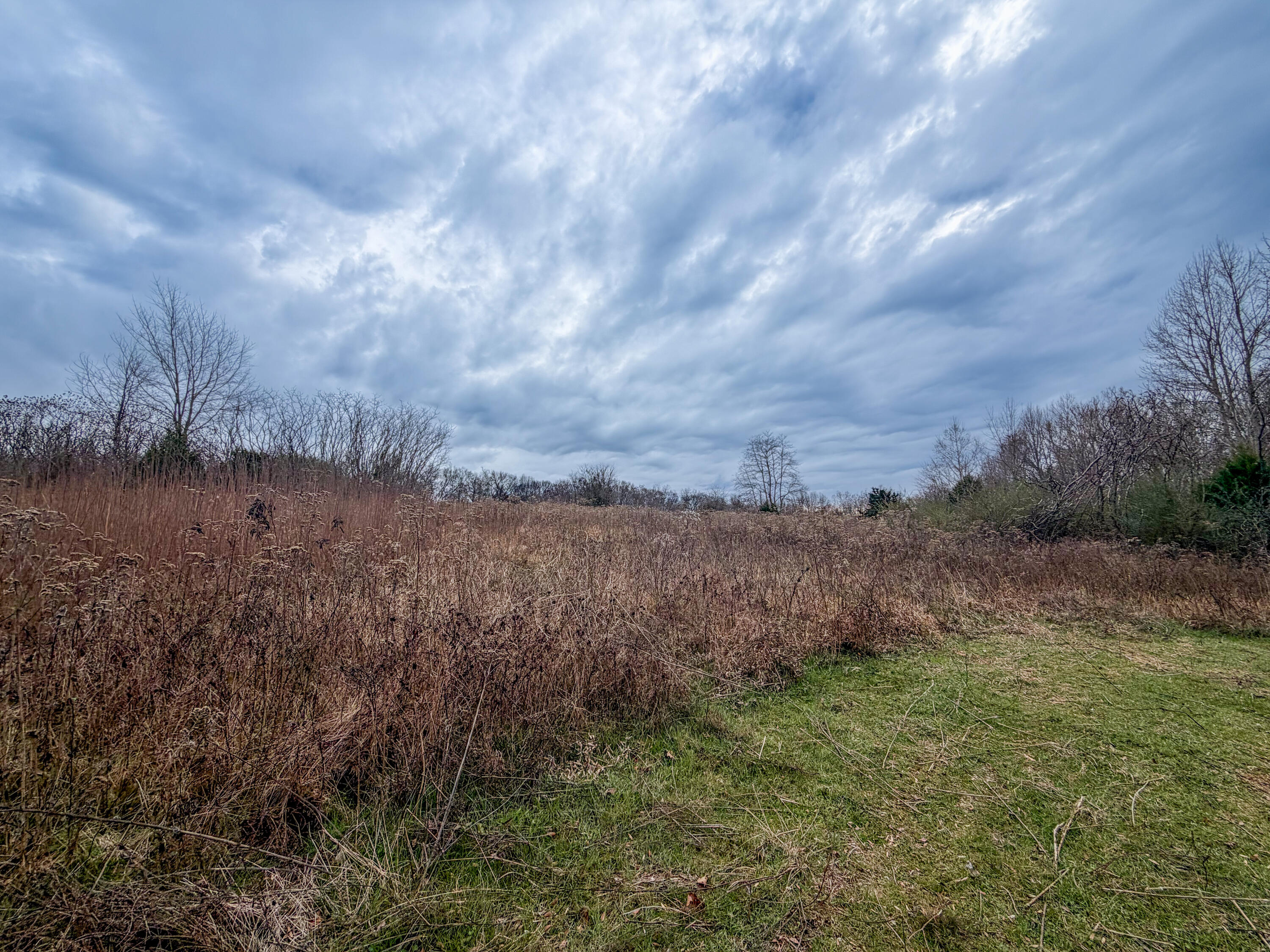 0 Tate Road Fayetteville, TN 37334 - Photo 33 of 46 Tate-18