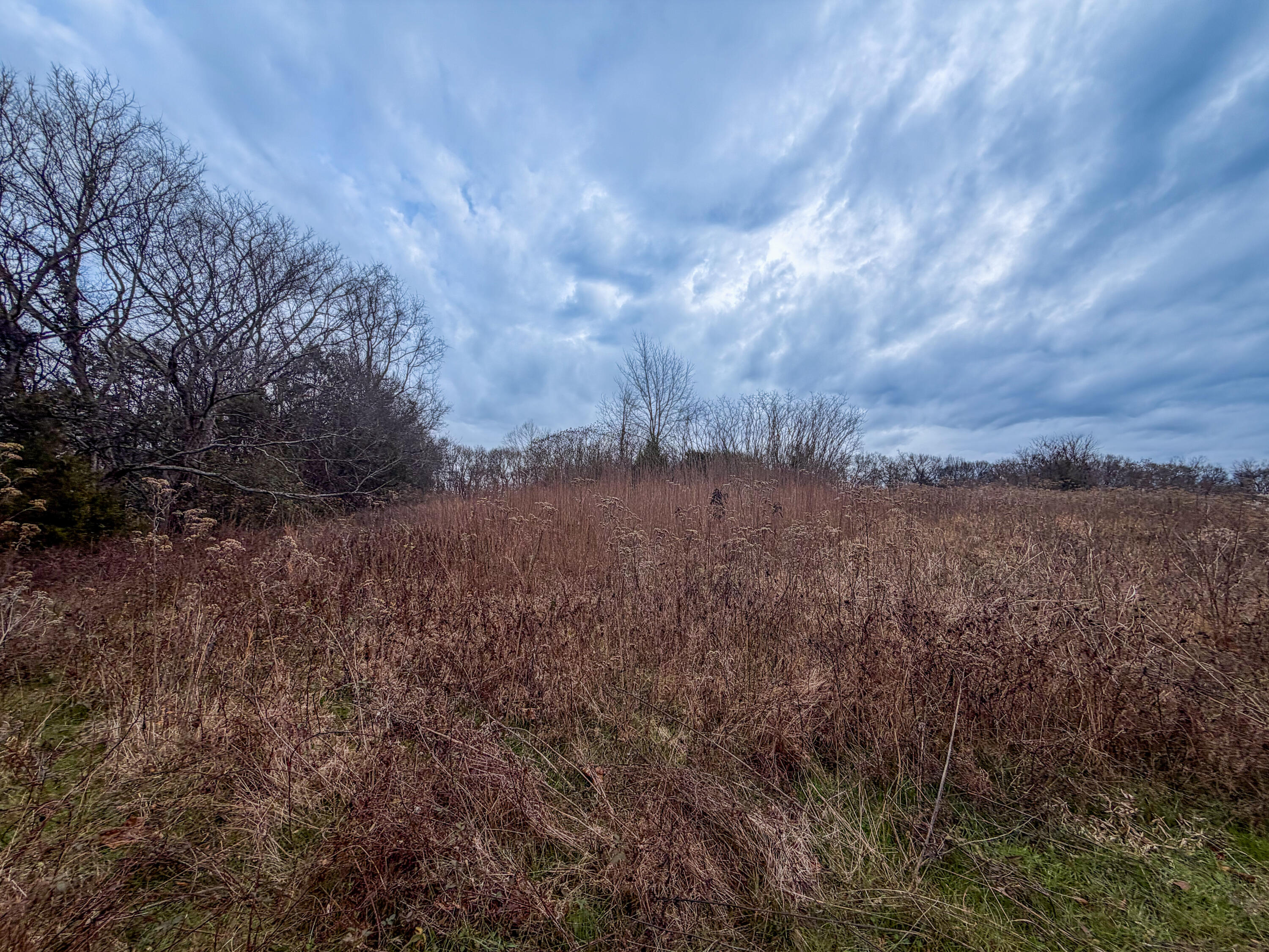 0 Tate Road Fayetteville, TN 37334 - Photo 34 of 46 Tate-19