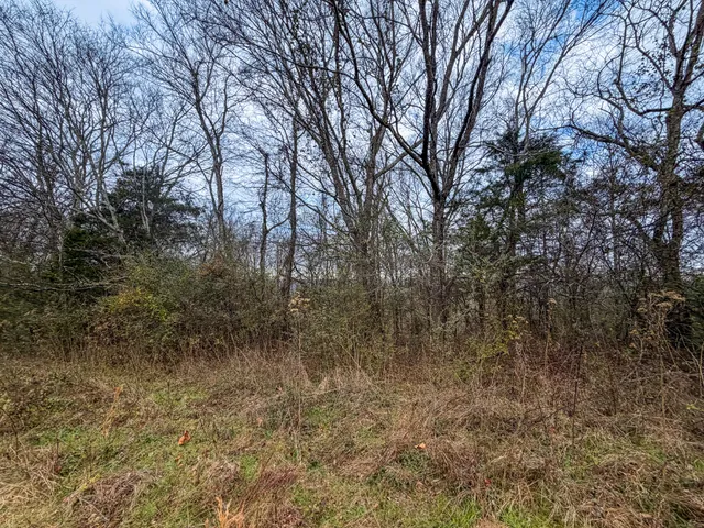 $599,800 | 0 Tate Road, Fayetteville, TN 37334