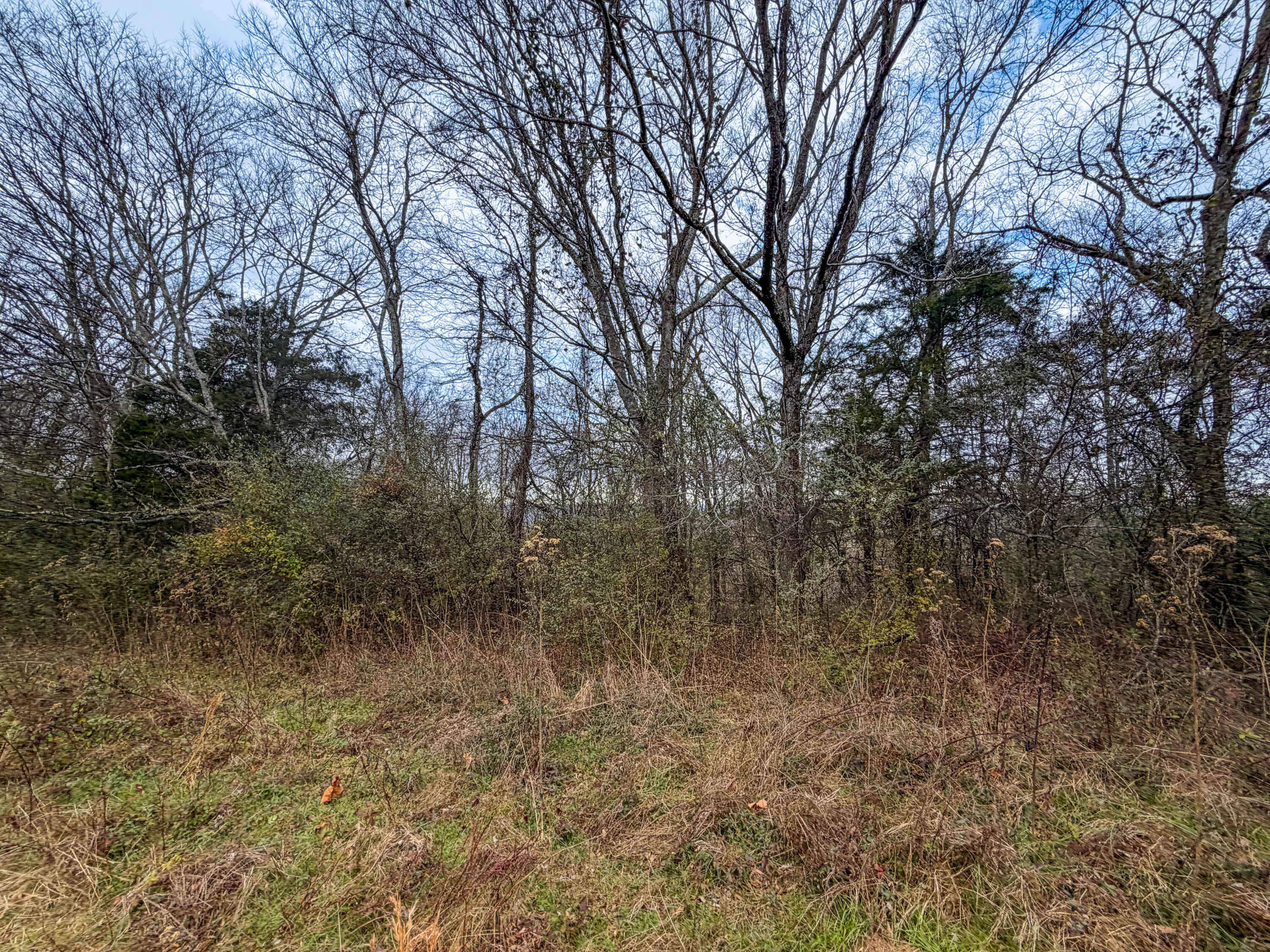 0 Tate Road Fayetteville, TN 37334 - Photo 36 of 46 Tate-21