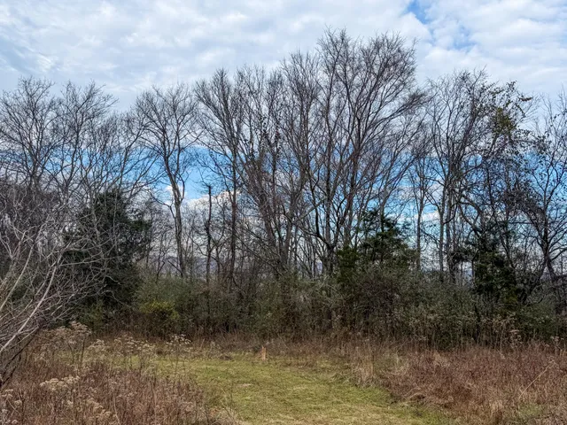 $599,800 | 0 Tate Road, Fayetteville, TN 37334