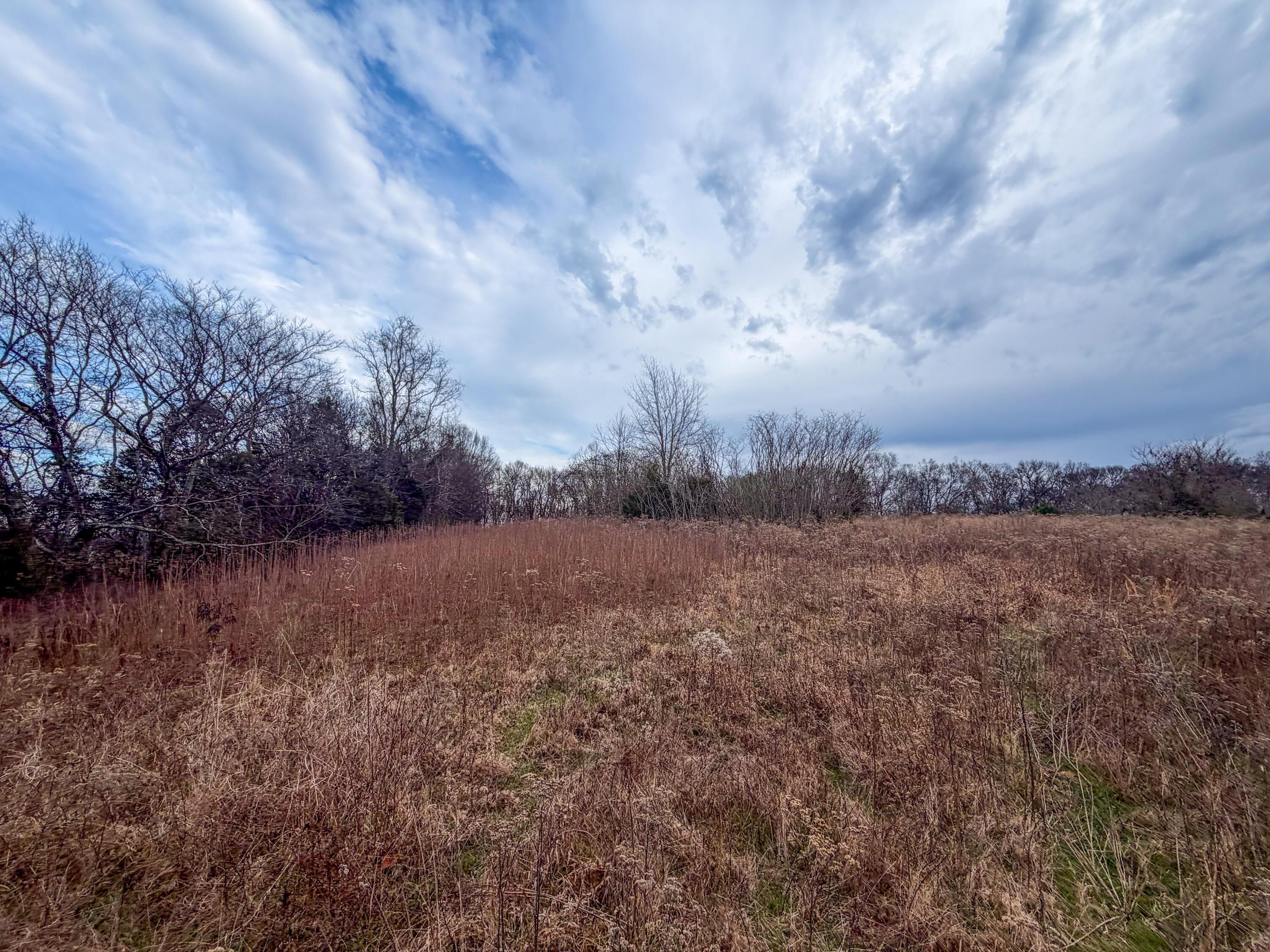 0 Tate Road Fayetteville, TN 37334 - Photo 40 of 46 Tate-25