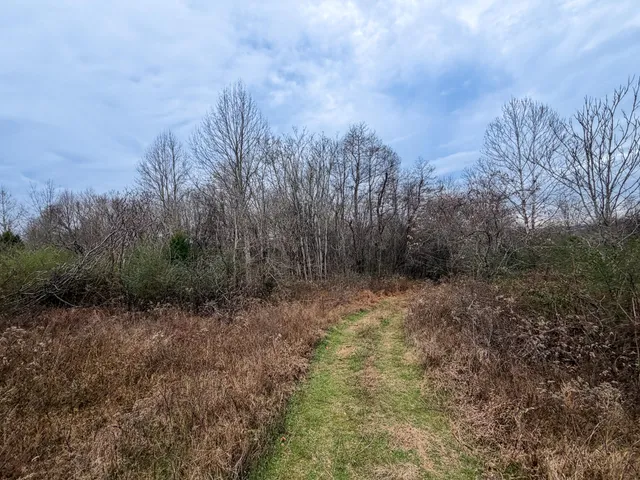 $599,800 | 0 Tate Road, Fayetteville, TN 37334