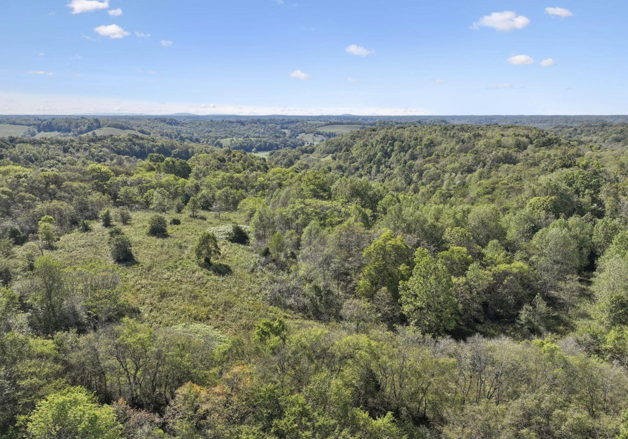 0 Tate Road Fayetteville, TN 37334 - Photo 43 of 46 Tate 4