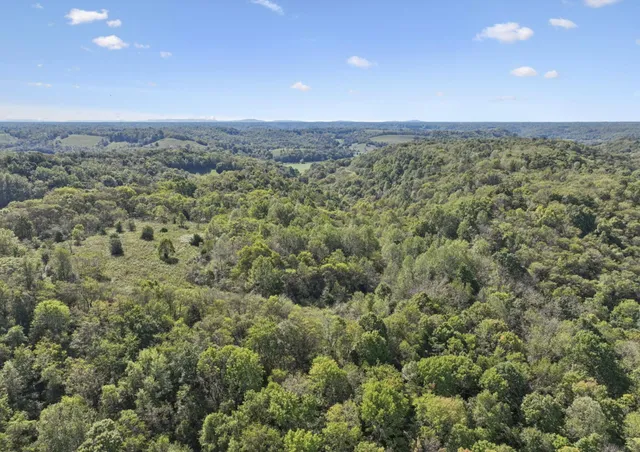 $599,800 | 0 Tate Road, Fayetteville, TN 37334