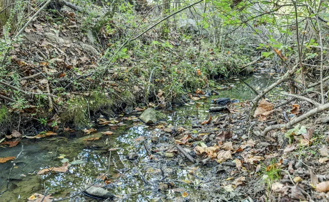 $599,800 | 0 Tate Road, Fayetteville, TN 37334