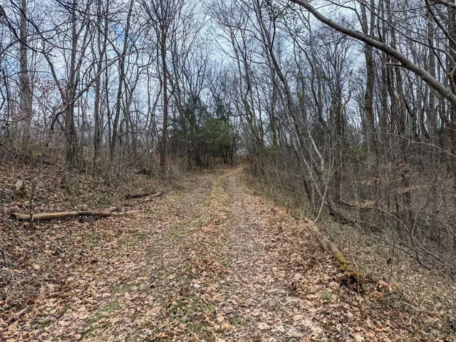 $599,800 | 0 Tate Road, Fayetteville, TN 37334