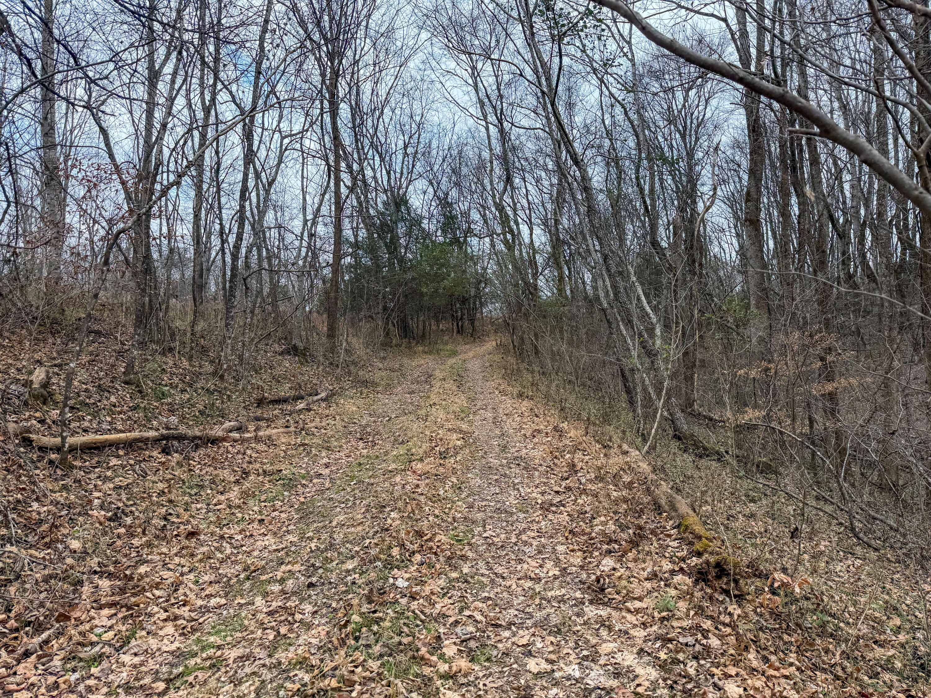 0 Tate Road Fayetteville, TN 37334 - Photo 7 of 46 Tate-14