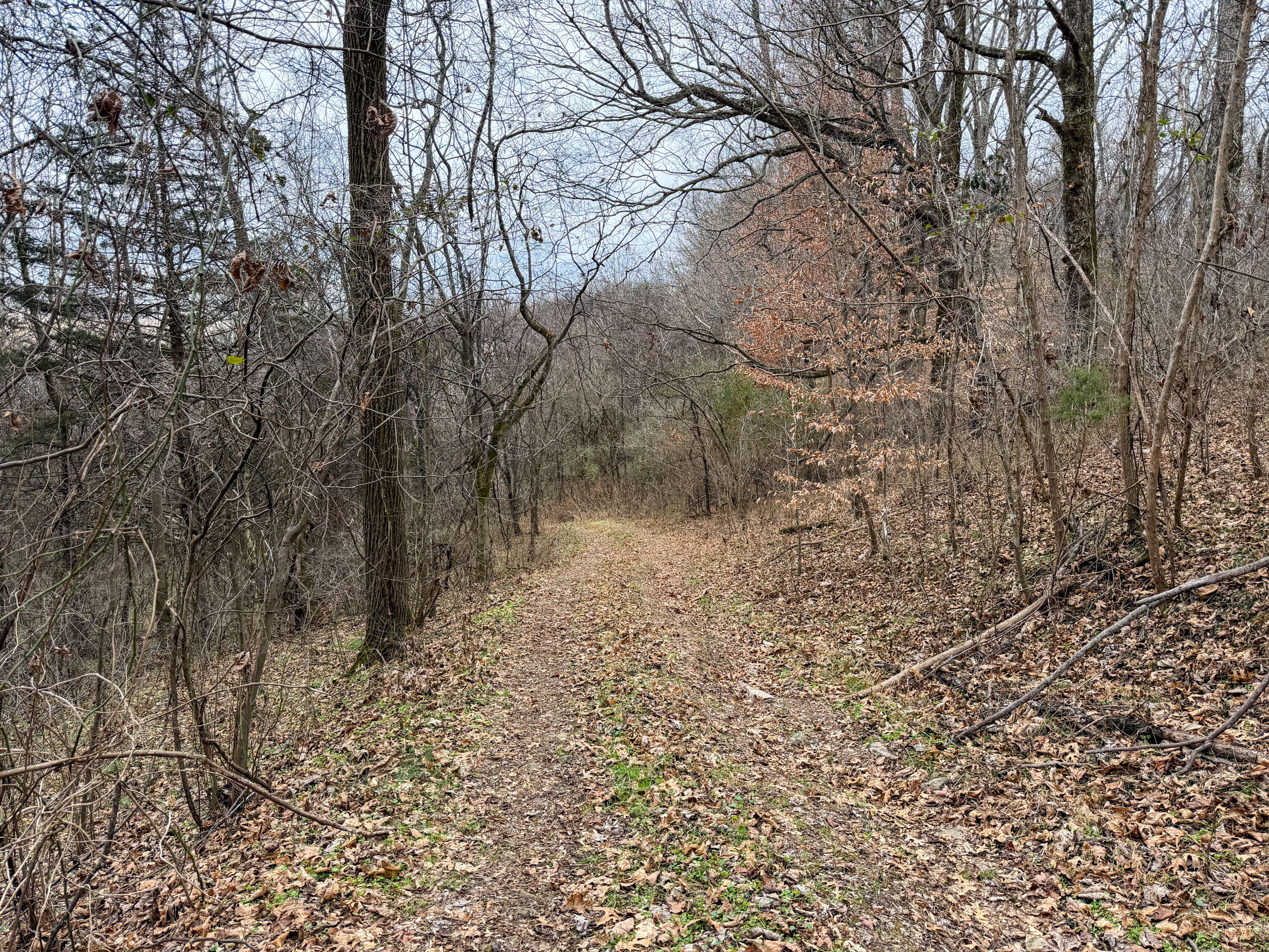 0 Tate Road Fayetteville, TN 37334 - Photo 8 of 46 Tate-15