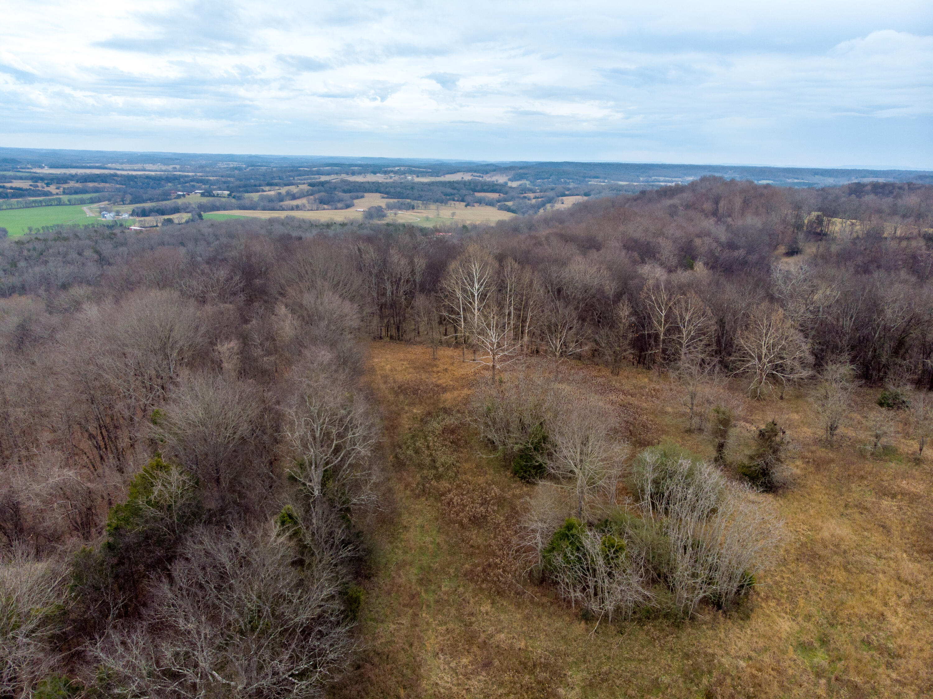 0 Tate Road Fayetteville, TN 37334 - Photo 10 of 46 Tate Drone-2