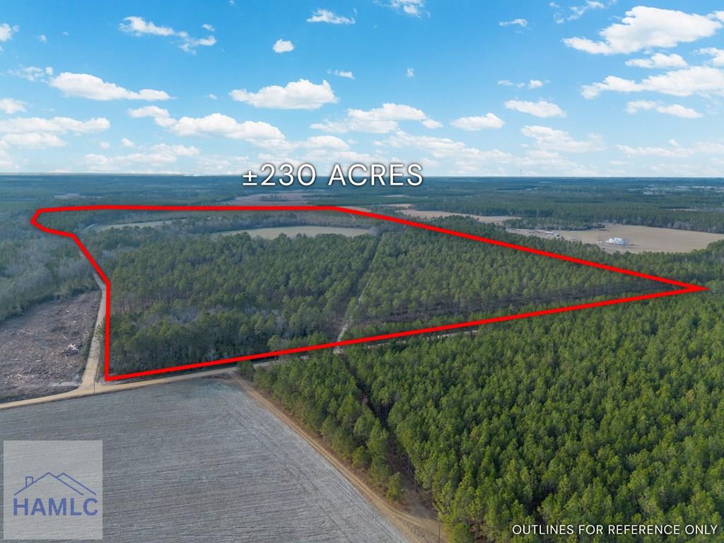 3 Reddish Road Screven, GA 31560 - Photo 4 of 55 Gallery Image 4