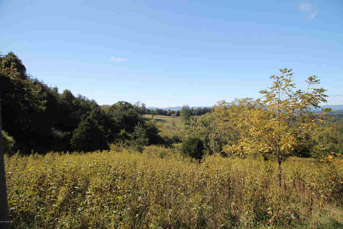 Lot J Springdale Road Pearisburg, VA 24134 - Photo 12 of 51 Gallery Image 12