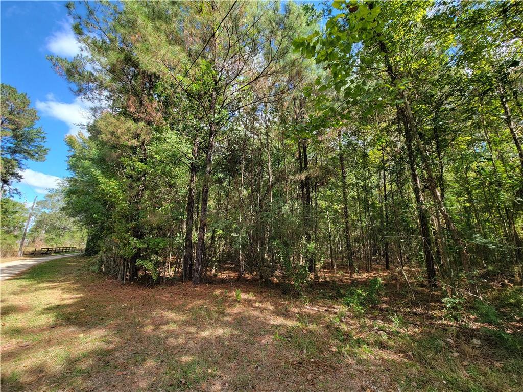 14042 Mill Creek Road Franklinton, LA 70438 - Photo 3 of 7