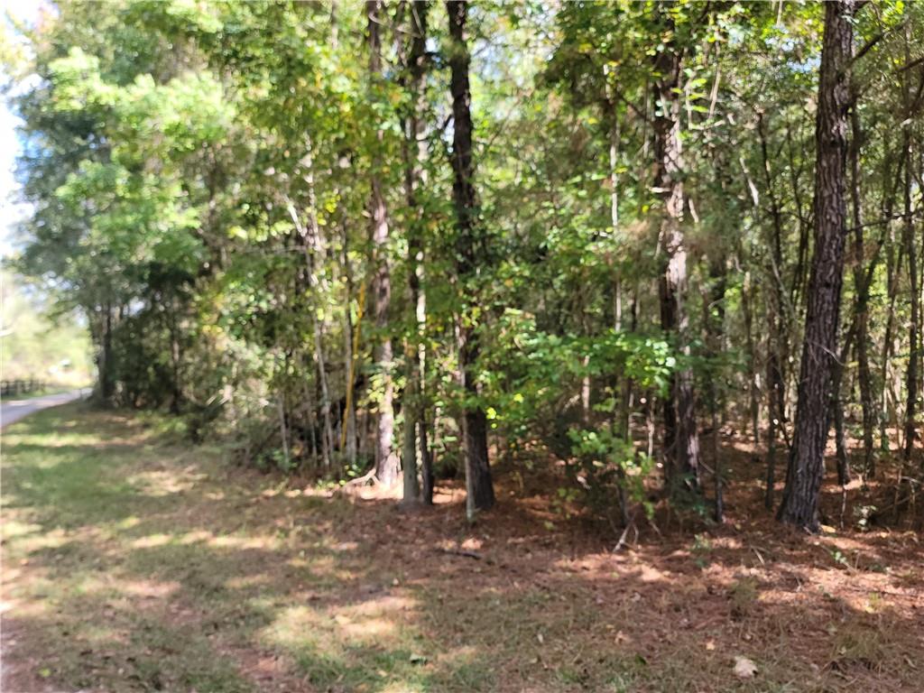 14042 Mill Creek Road Franklinton, LA 70438 - Photo 5 of 7