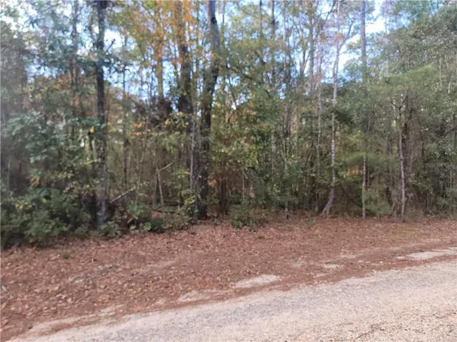 $90,000 | 14042 Mill Creek Road, Franklinton, LA 70438