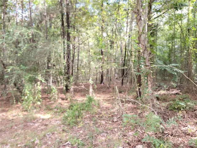 $90,000 | 14042 Mill Creek Road, Franklinton, LA 70438