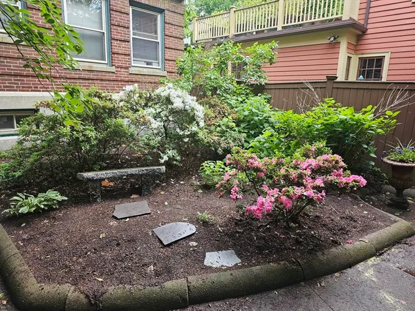 a view of a backyard with plants and the patio