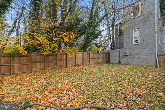 a view of a backyard