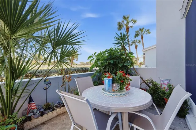a garden area with tall trees