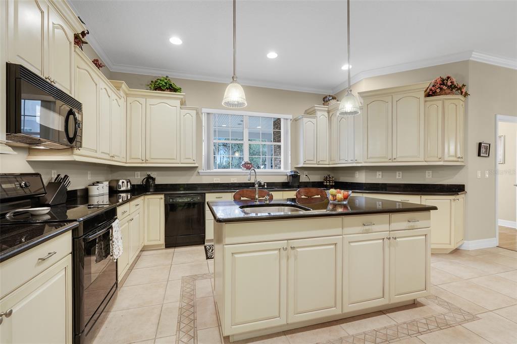 10336 Lake Louisa Road Clermont, FL 34711 - Photo 18 of 58 a kitchen with stainless steel appliances granite countertop a sink and cabinets