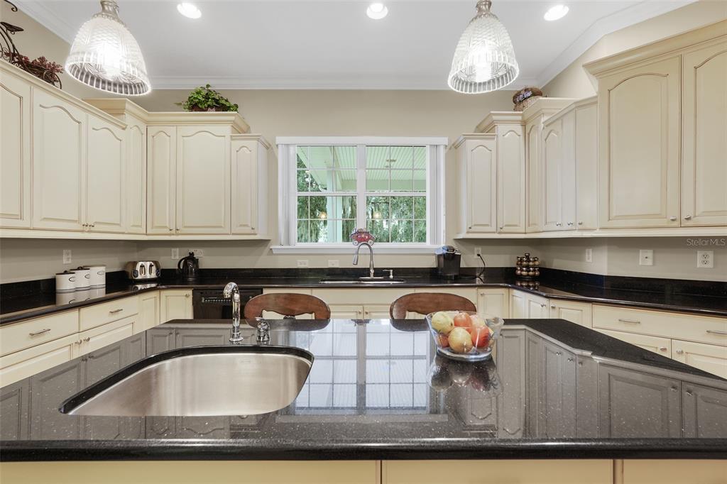 10336 Lake Louisa Road Clermont, FL 34711 - Photo 20 of 58 a kitchen with stainless steel appliances granite countertop a sink window and cabinets