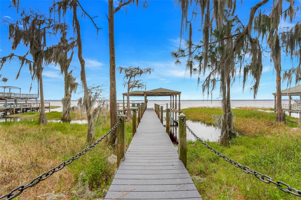 10336 Lake Louisa Road Clermont, FL 34711 - Photo 51 of 58