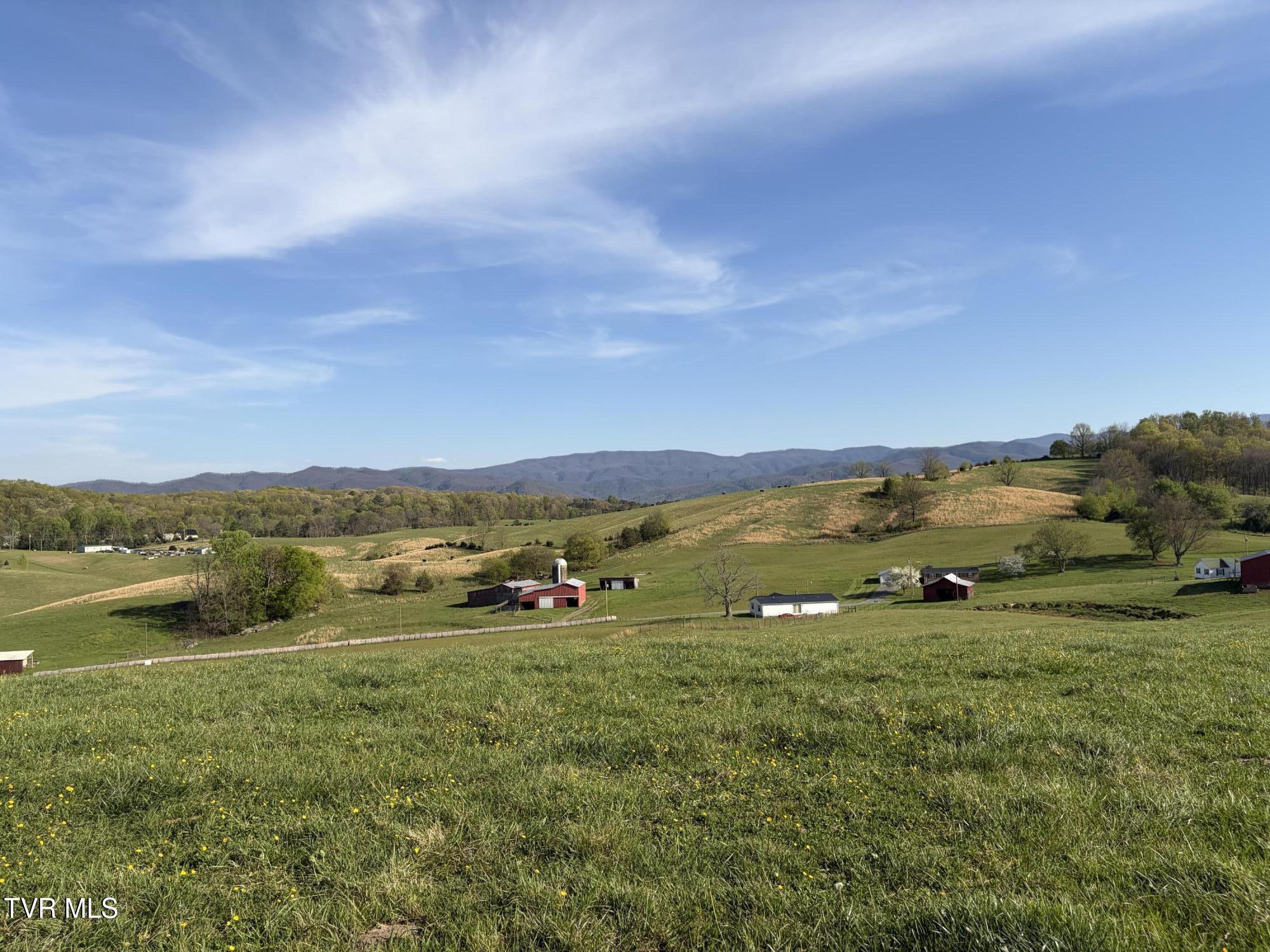 Lot 5 Ward Rowe Road, Unit 5 Limestone, TN 37681 - Photo 3 of 8 IMG_3956