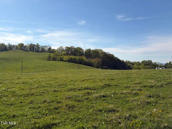 $49,900 | Lot 5 Ward Rowe Road, Unit 5, Limestone, TN 37681