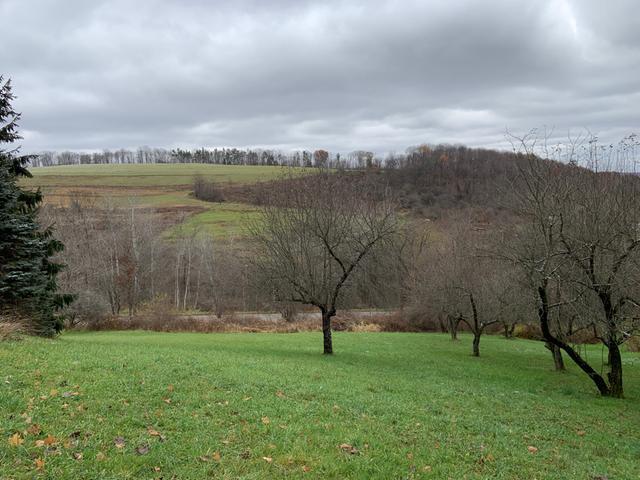 888 Thompson Hill Road Russell, PA 16345 - Photo 2 of 29 Gallery Image 2