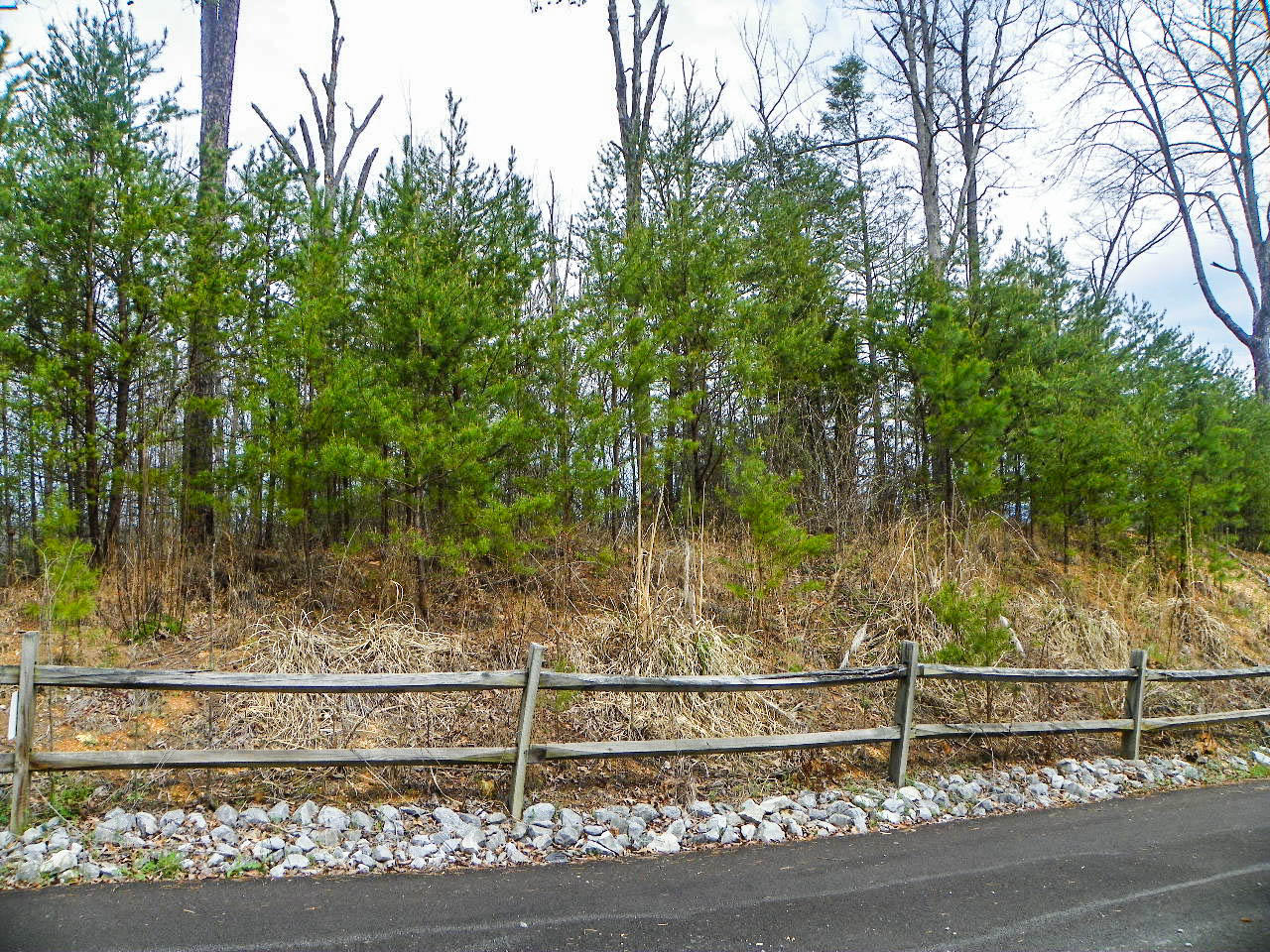 Lot#6 Shadyview Ridge Road Sevierville, TN 37876 - Photo 1 of 8 103_3268