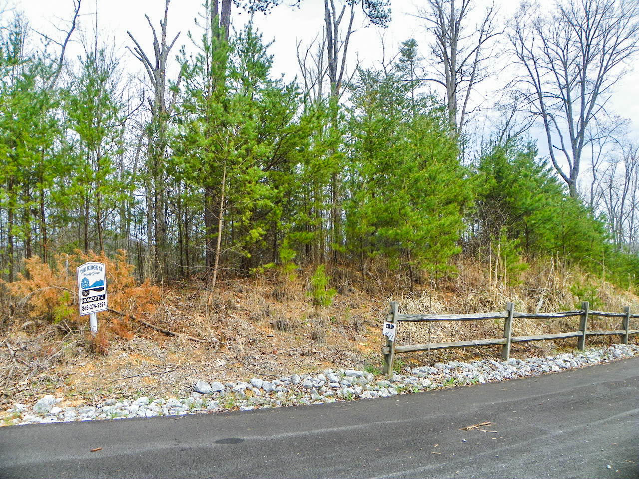 Lot#6 Shadyview Ridge Road Sevierville, TN 37876 - Photo 2 of 8 103_3265