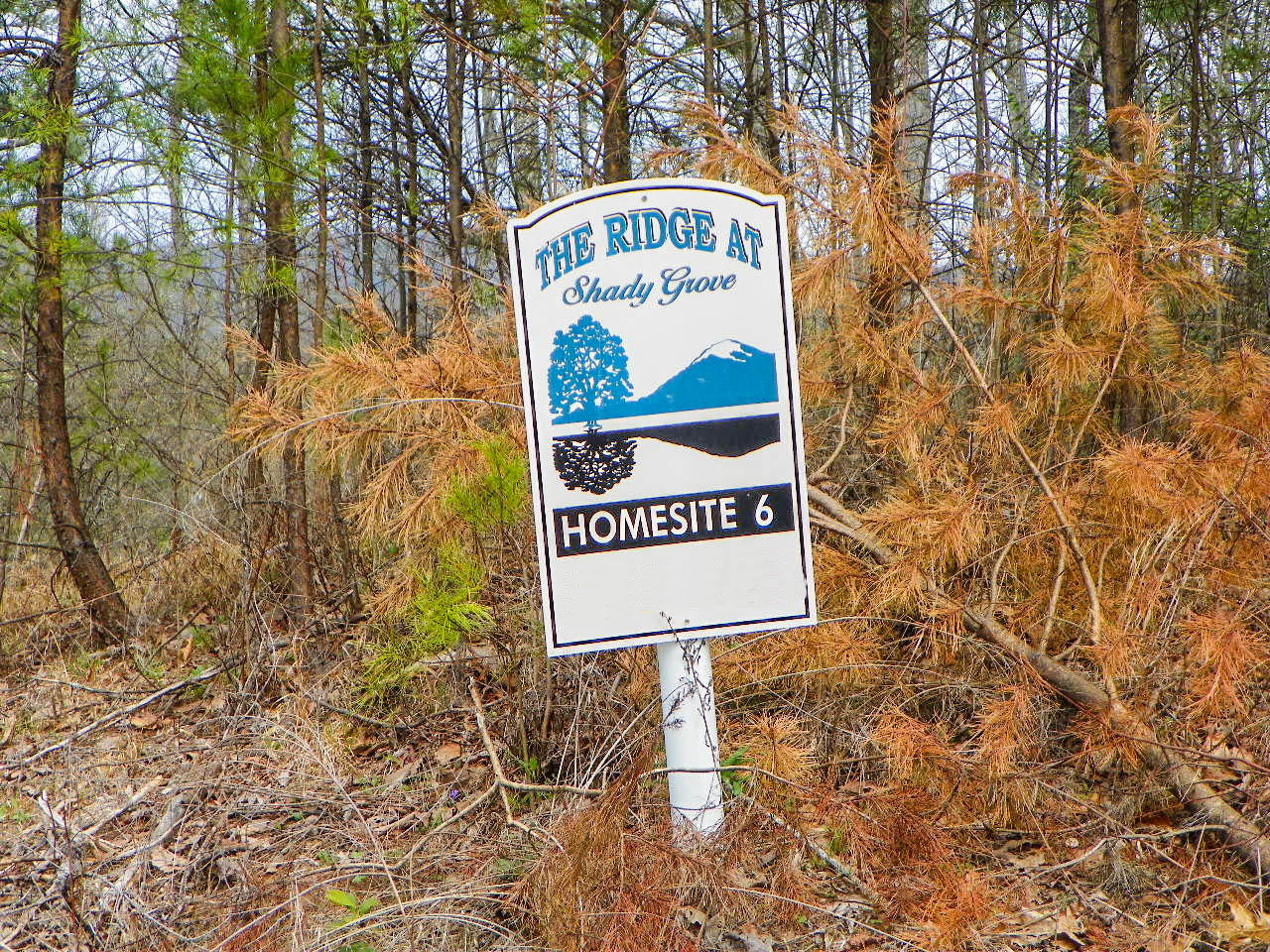Lot#6 Shadyview Ridge Road Sevierville, TN 37876 - Photo 3 of 8 103_3260-Edit