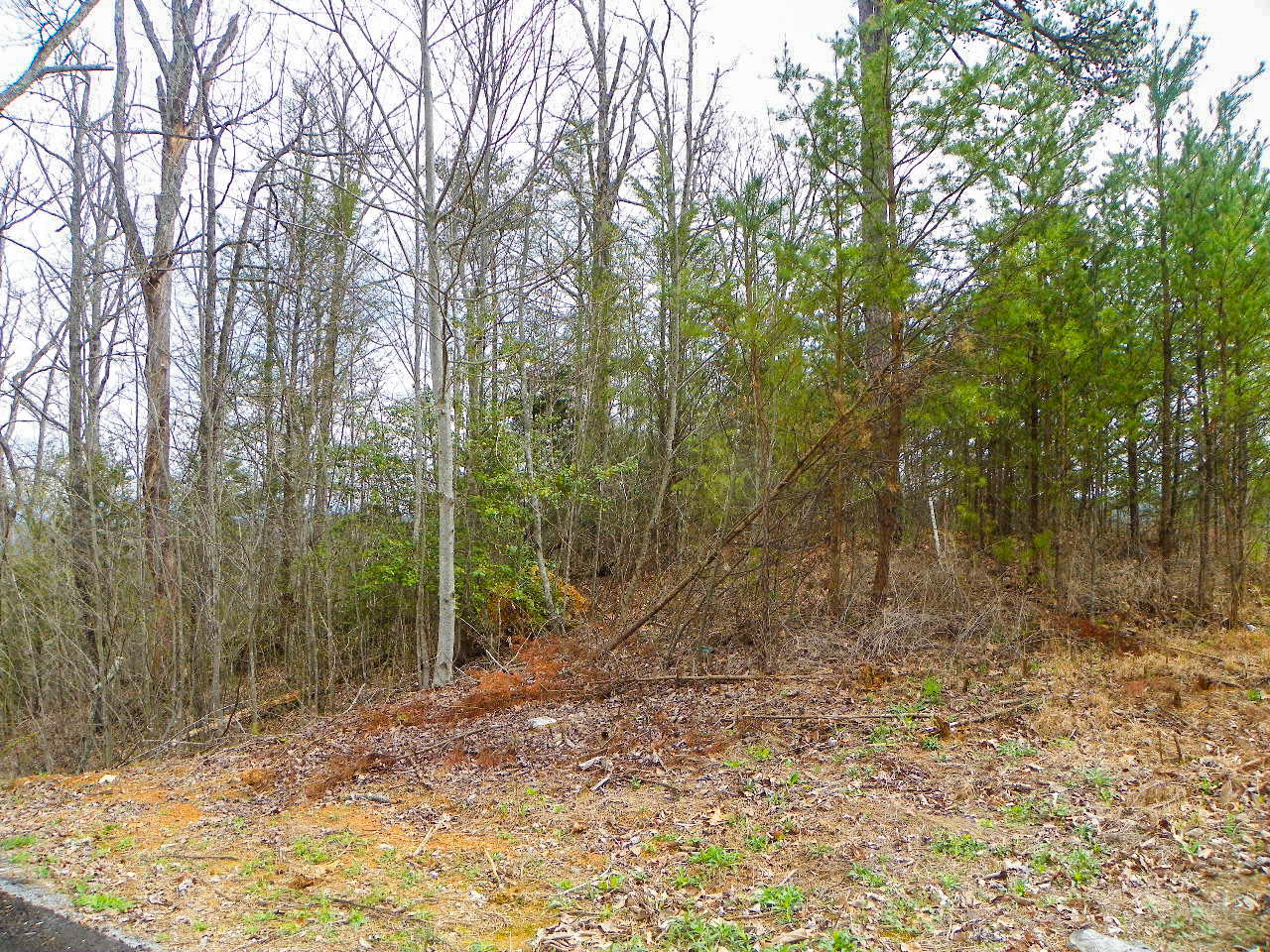 Lot#6 Shadyview Ridge Road Sevierville, TN 37876 - Photo 4 of 8 103_3263