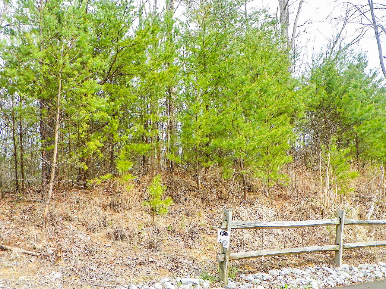 Lot#6 Shadyview Ridge Road Sevierville, TN 37876 - Photo 5 of 8 103_3266
